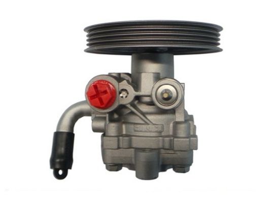GKNY10057 GKN-SPIDAN - Насос гідропідсилювача керма