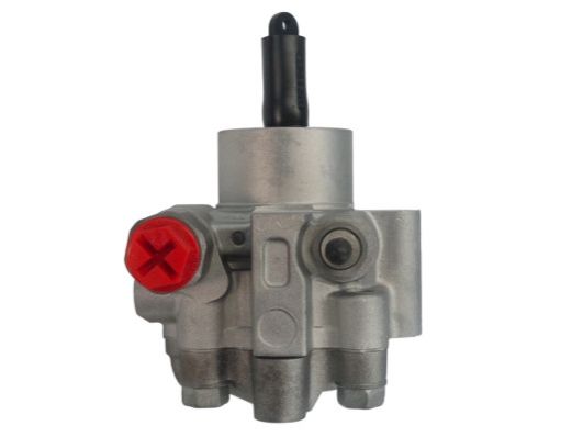GKNY10058 GKN-SPIDAN - Насос гідропідсилювача керма