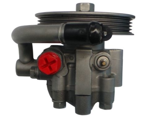 GKNY10059 GKN-SPIDAN - Насос гідропідсилювача керма