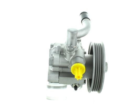 GKNY10060 GKN-SPIDAN - Насос гідропідсилювача керма