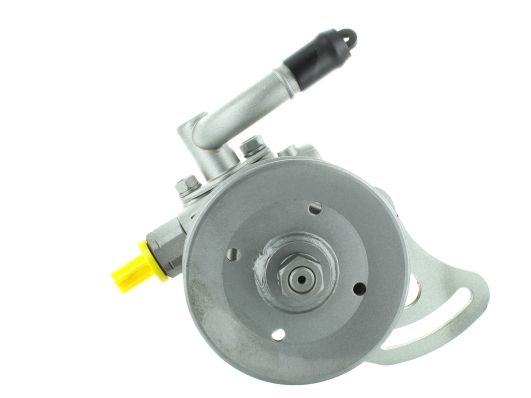 GKNY10060 GKN-SPIDAN - Насос гідропідсилювача керма