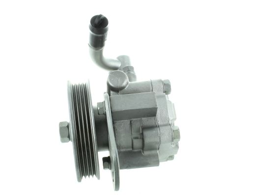 GKNY10060 GKN-SPIDAN - Насос гідропідсилювача керма