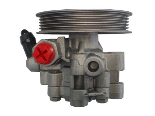 GKNY10062 GKN-SPIDAN - Насос гідропідсилювача керма