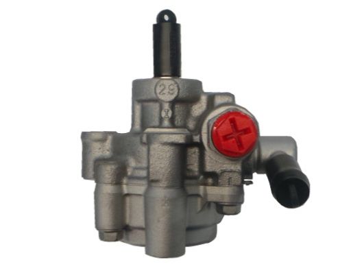 GKNY10063 GKN-SPIDAN - Насос гідропідсилювача керма