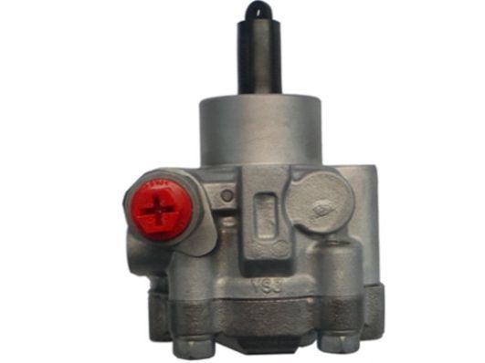GKNY10064 GKN-SPIDAN - Насос гідропідсилювача керма