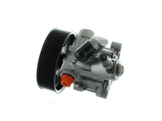 GKNY10065 GKN-SPIDAN - Насос гідропідсилювача керма
