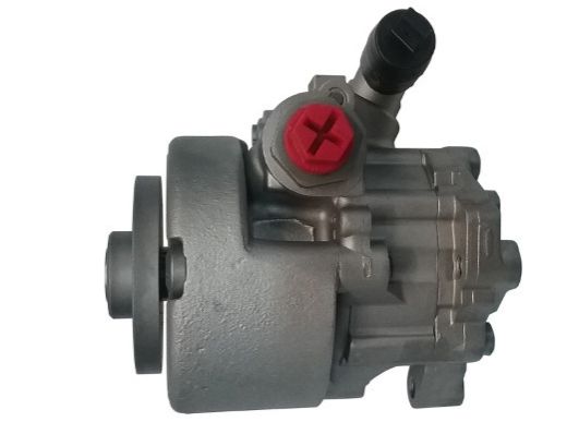 GKNY10068 GKN-SPIDAN - Насос гідропідсилювача керма