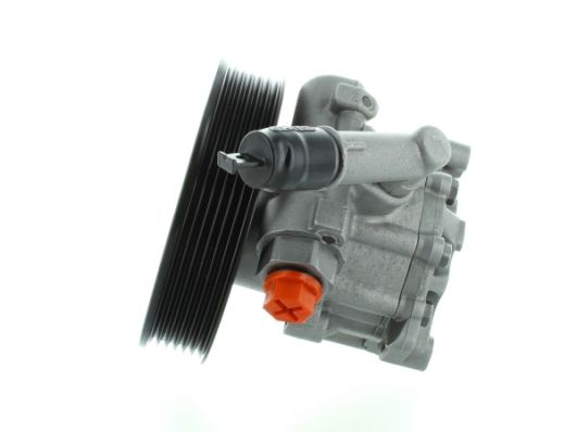 GKNY10069 GKN-SPIDAN - Насос гідропідсилювача керма