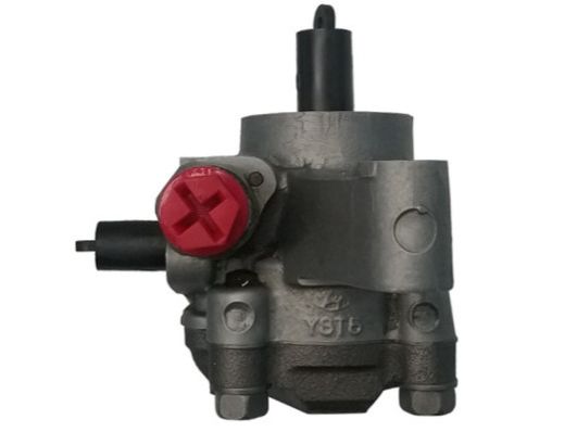 GKNY10071 GKN-SPIDAN - Насос гідропідсилювача керма