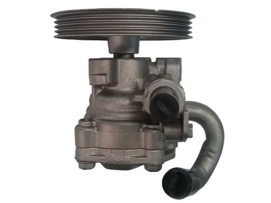 GKNY10073 GKN-SPIDAN - Насос гідропідсилювача керма