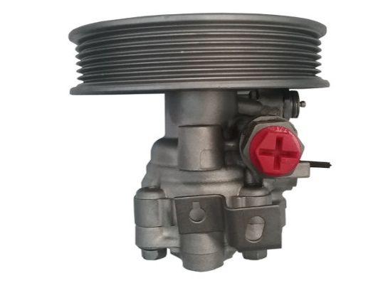 GKNY10075 GKN-SPIDAN - Насос гідропідсилювача керма