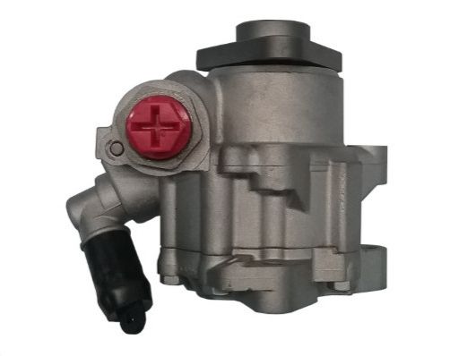 GKNY10076 GKN-SPIDAN - Насос гідропідсилювача керма