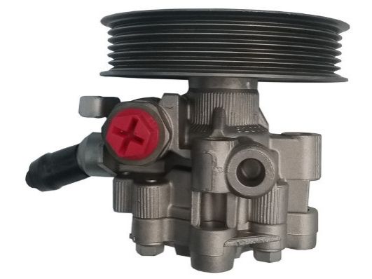 GKNY10083 GKN-SPIDAN - Насос гідропідсилювача керма