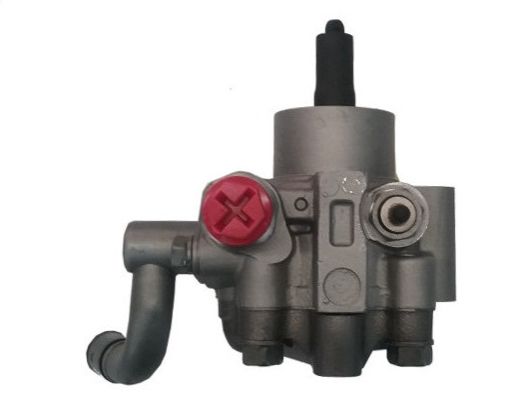 GKNY10085 GKN-SPIDAN - Насос гідропідсилювача керма