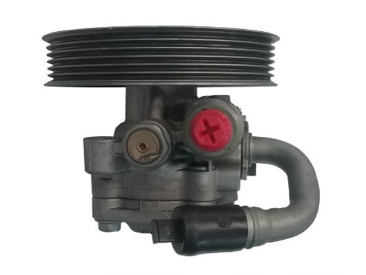 GKNY10091 GKN-SPIDAN - Насос гідропідсилювача керма