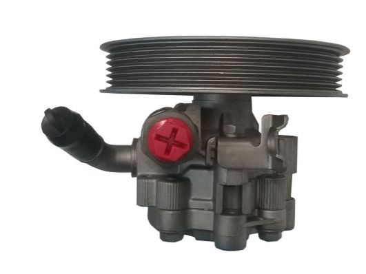 GKNY10099 GKN-SPIDAN - Насос гідропідсилювача керма
