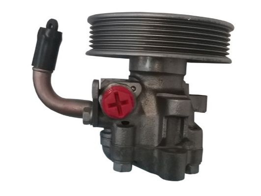 GKNY10100 GKN-SPIDAN - Насос гідропідсилювача керма