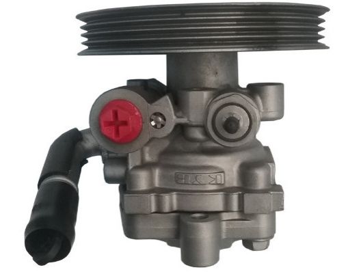 GKNY10101 GKN-SPIDAN - Насос гідропідсилювача керма