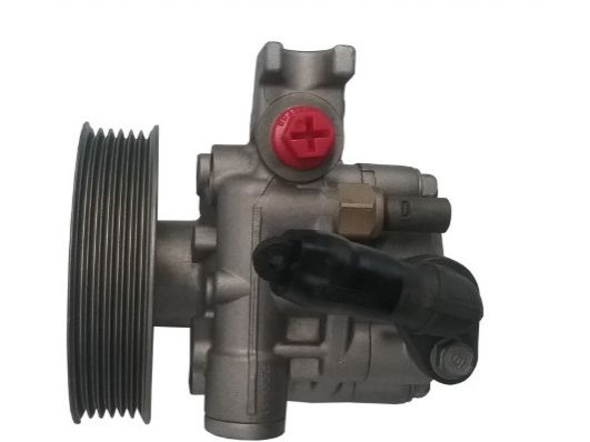GKNY10103 GKN-SPIDAN - Насос гідропідсилювача керма