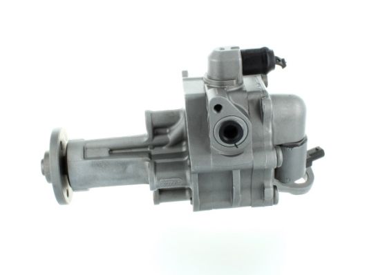 GKNY10110 GKN-SPIDAN - Насос гідропідсилювача керма