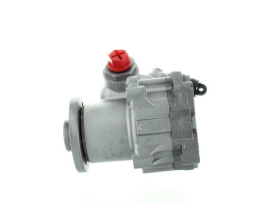 GKNY10115 GKN-SPIDAN - Насос гідропідсилювача керма