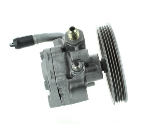 GKNY10116 GKN-SPIDAN - Насос гідропідсилювача керма