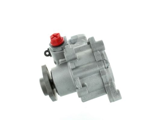 GKNY10118 GKN-SPIDAN - Насос гідропідсилювача керма