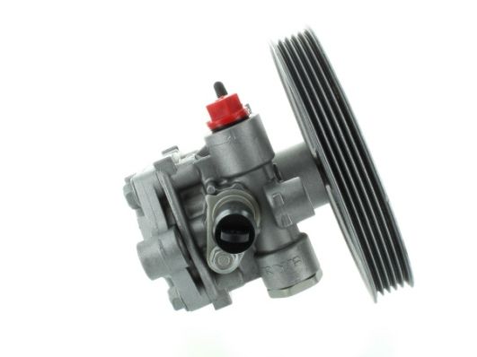 GKNY10120 GKN-SPIDAN - Насос гідропідсилювача керма
