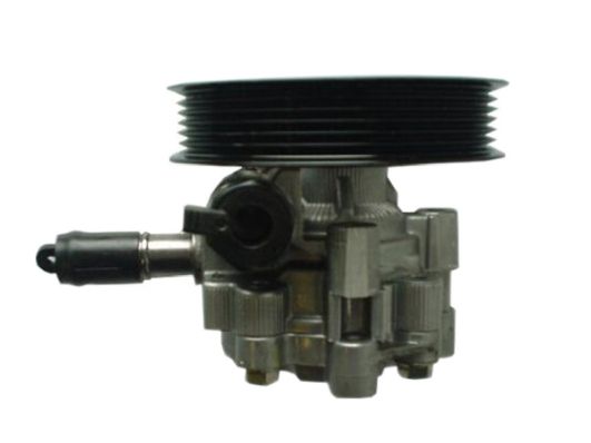 GKNY10121 GKN-SPIDAN - Насос гідропідсилювача керма