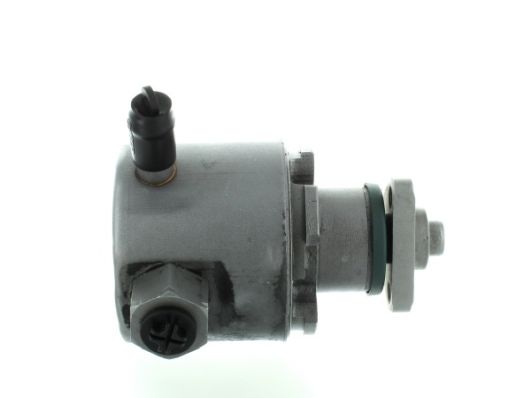 GKNY10124 GKN-SPIDAN - Насос гідропідсилювача керма