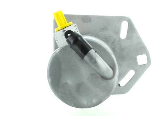 GKNY10126 GKN-SPIDAN - Насос гідропідсилювача керма