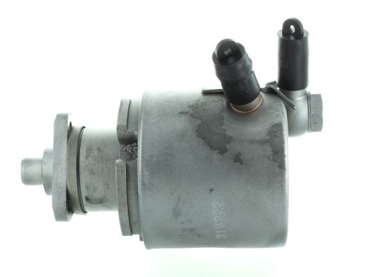 GKNY10127 GKN-SPIDAN - Насос гідропідсилювача керма