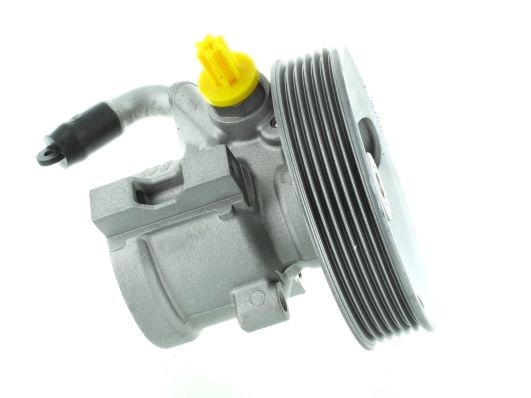 GKNY10136 GKN-SPIDAN - Насос гідропідсилювача керма
