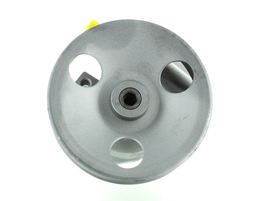GKNY10136 GKN-SPIDAN - Насос гідропідсилювача керма