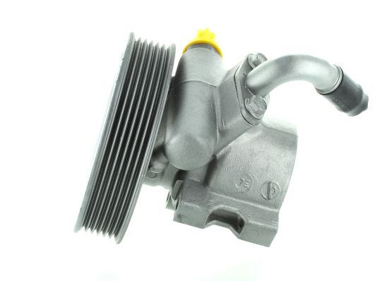 GKNY10136 GKN-SPIDAN - Насос гідропідсилювача керма