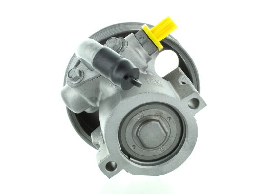 GKNY10136 GKN-SPIDAN - Насос гідропідсилювача керма