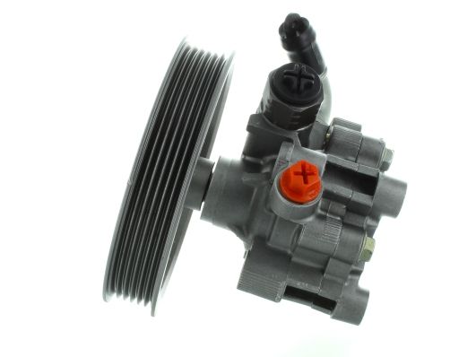 GKNY10141 GKN-SPIDAN - Насос гідропідсилювача керма