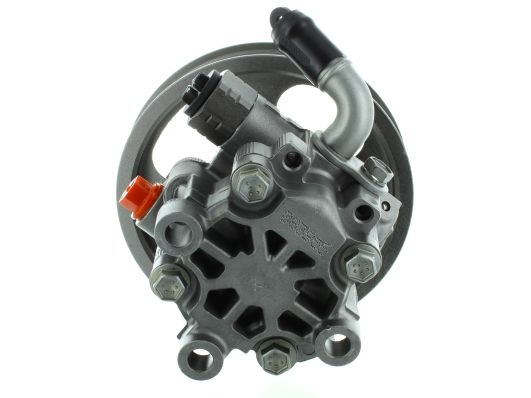 GKNY10141 GKN-SPIDAN - Насос гідропідсилювача керма