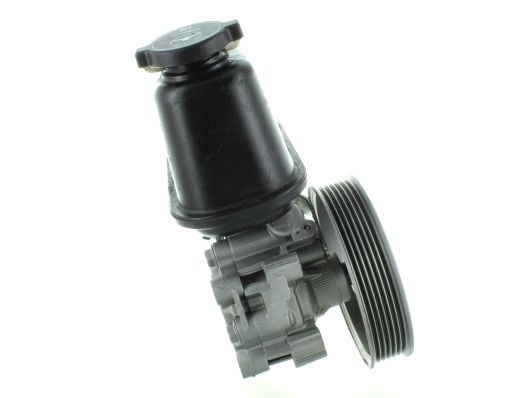 GKNY10142 GKN-SPIDAN - Насос гідропідсилювача керма
