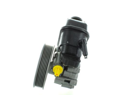 GKNY10142 GKN-SPIDAN - Насос гідропідсилювача керма