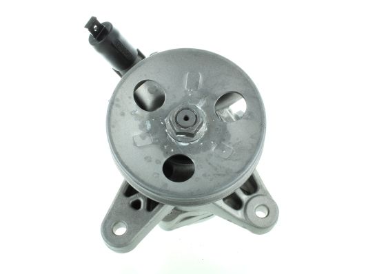 GKNY10144 GKN-SPIDAN - Насос гідропідсилювача керма