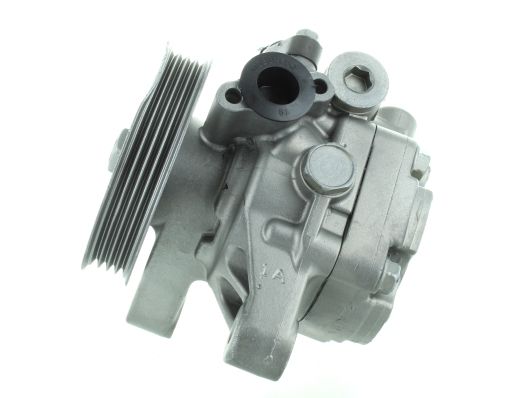 GKNY10145 GKN-SPIDAN - Насос гідропідсилювача керма