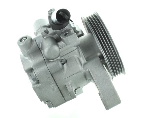 GKNY10145 GKN-SPIDAN - Насос гідропідсилювача керма