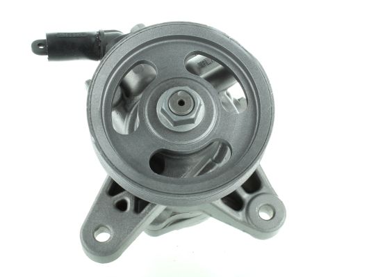 GKNY10145 GKN-SPIDAN - Насос гідропідсилювача керма