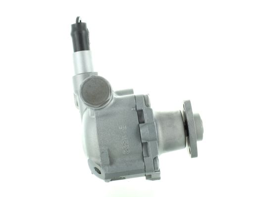 GKNY10150 GKN-SPIDAN - Насос гідропідсилювача керма