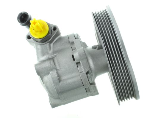 GKNY10152 GKN-SPIDAN - Насос гідропідсилювача керма