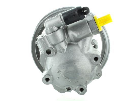 GKNY10152 GKN-SPIDAN - Насос гідропідсилювача керма