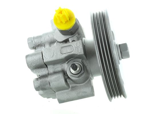 GKNY10153 GKN-SPIDAN - Насос гідропідсилювача керма
