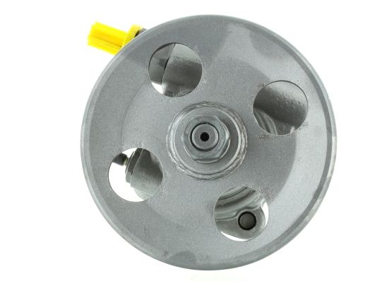 GKNY10153 GKN-SPIDAN - Насос гідропідсилювача керма