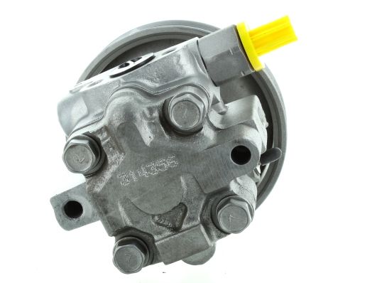 GKNY10153 GKN-SPIDAN - Насос гідропідсилювача керма
